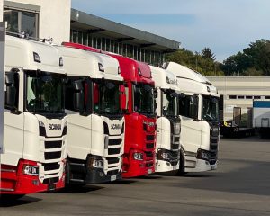 WhatsApp Image 2024-09-04 at 14.03.04_4ccb1119